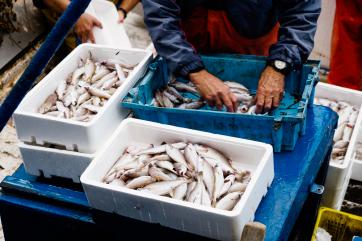 Ирландские рыбаки боятся разорения из-за Brexit